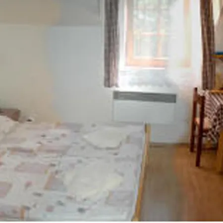 U Barona Prasila Pensionat 3*